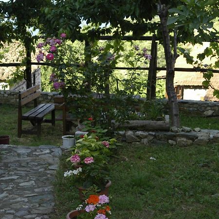 Guesthouse Klearchos 팔라이오스 판텔레이몬 외부 사진